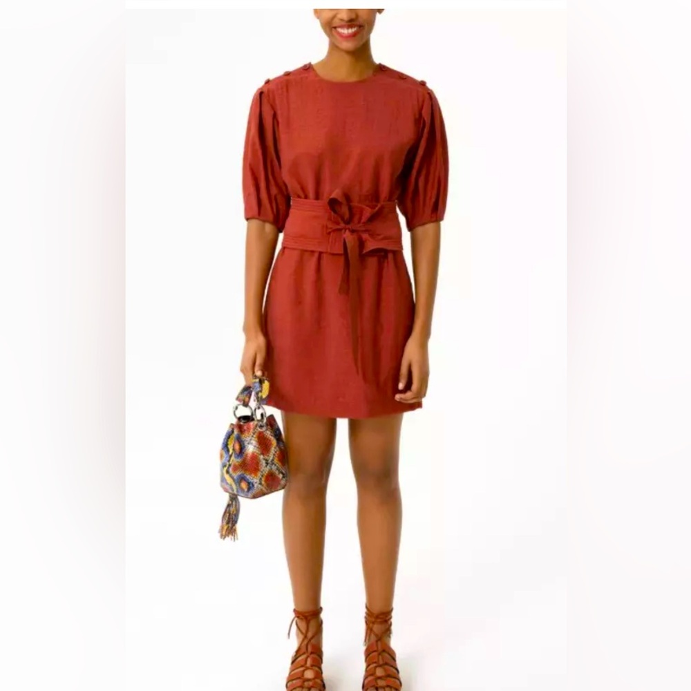 NWT Rebecca Minkoff juno dress with removable wide sash. Size M. Red/henna.